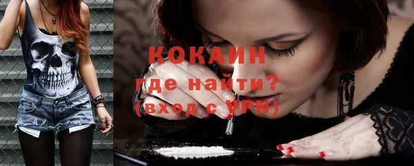 первитин Новодвинск