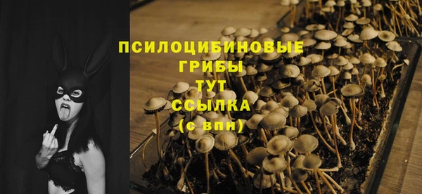 MDMA Новозыбков