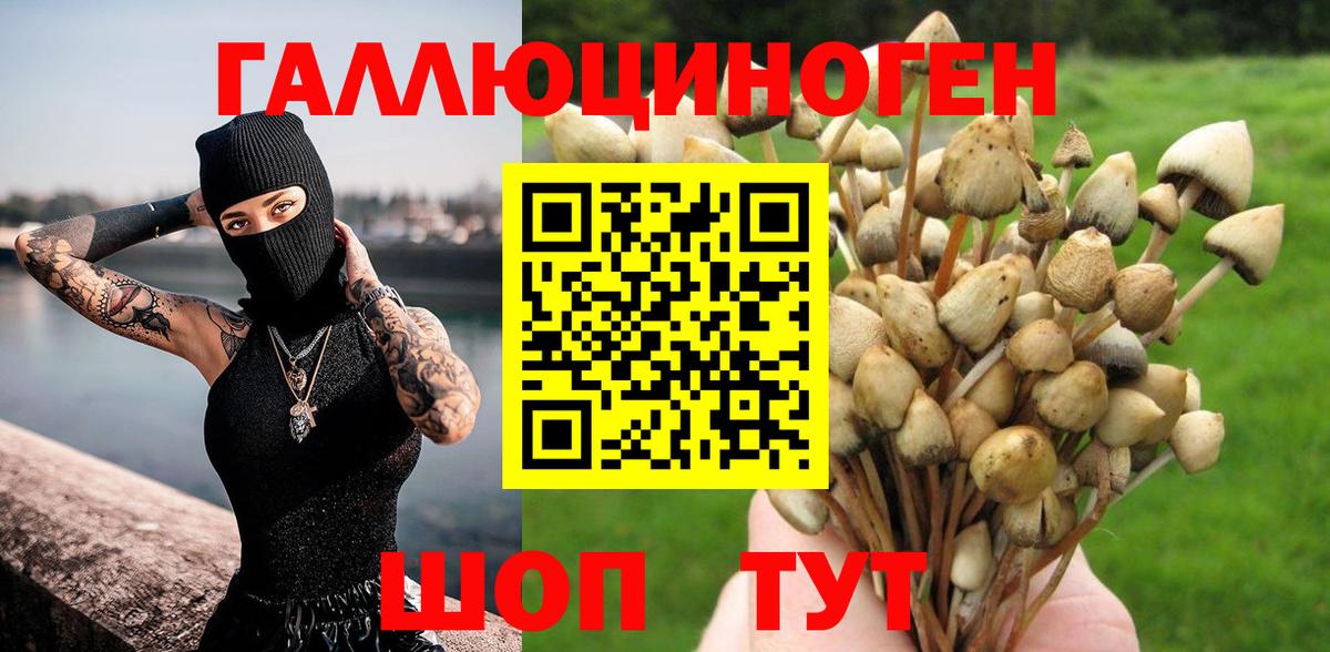 Галлюциногенные грибы прущие грибы Краснокамск