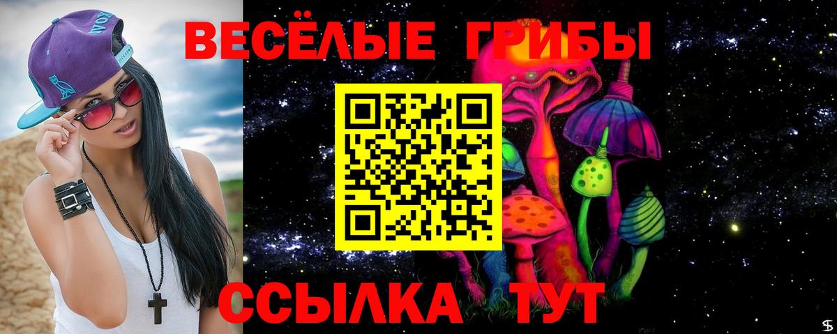 Краснокамск  Галлюциногенные грибы Cubensis  Вход с VPN 