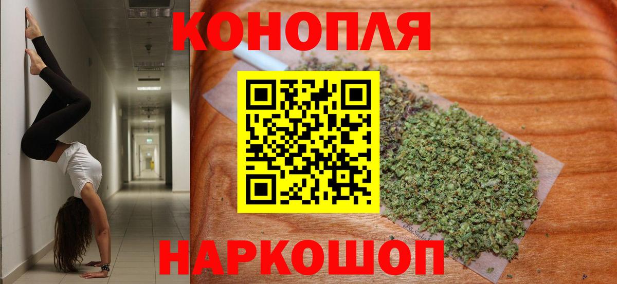 Бошки Шишки гибрид Краснокамск